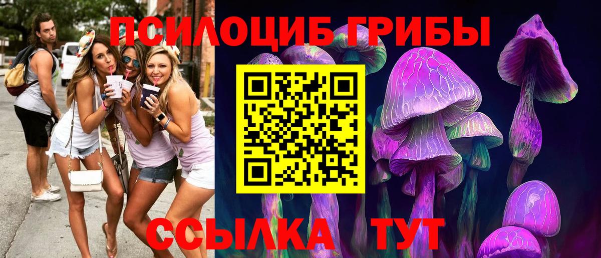 Тулун  Галлюциногенные грибы Cubensis  Псилоцибиновые грибы ЛСД  Вход с VPN 